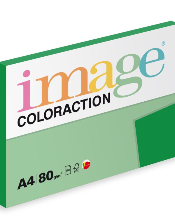 Papír barevný Color A4/80gr Dublin sytě zelený DG47 Kvalitní multifunkční barevný kopírovací papír vyznačující se výbornou potiskovatelností a perfektním rozložením barevných pigmentů.
