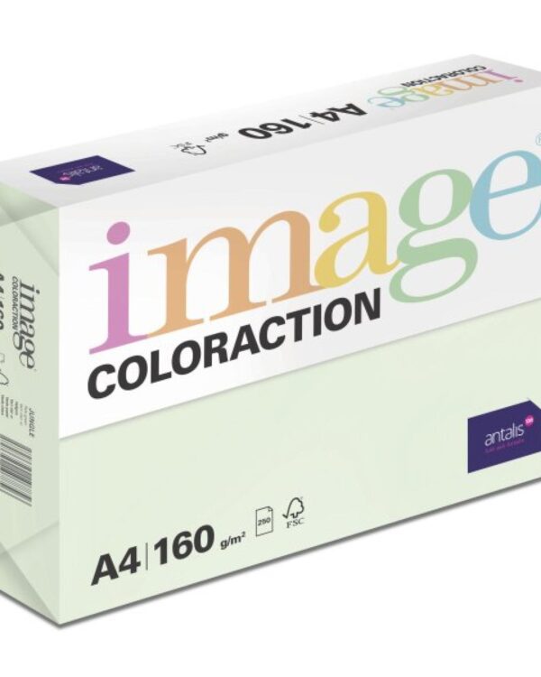 Papír barevný Color A4/160gr Jungle pastelově světle zelený GN27 Kvalitní multifunkční barevný kopírovací papír vyznačující se výbornou potiskovatelností a perfektním rozložením barevných pigmentů.