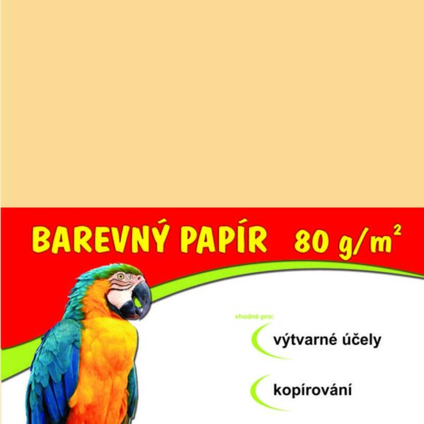 Papír barevný Color A3/80 béžový 100ks Formát A3 (420 x 297 mm). 100 listů v balení. Plošná hmotnost 80g/m2. 