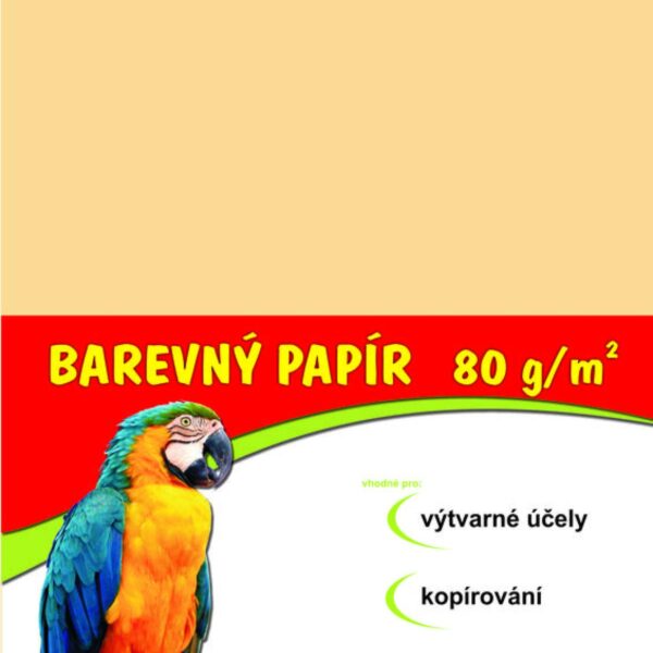 Papír barevný Color A4/80gr béžový 100ks Formát A4. 100 listů v balení. Plošná hmotnost 80g/m2.