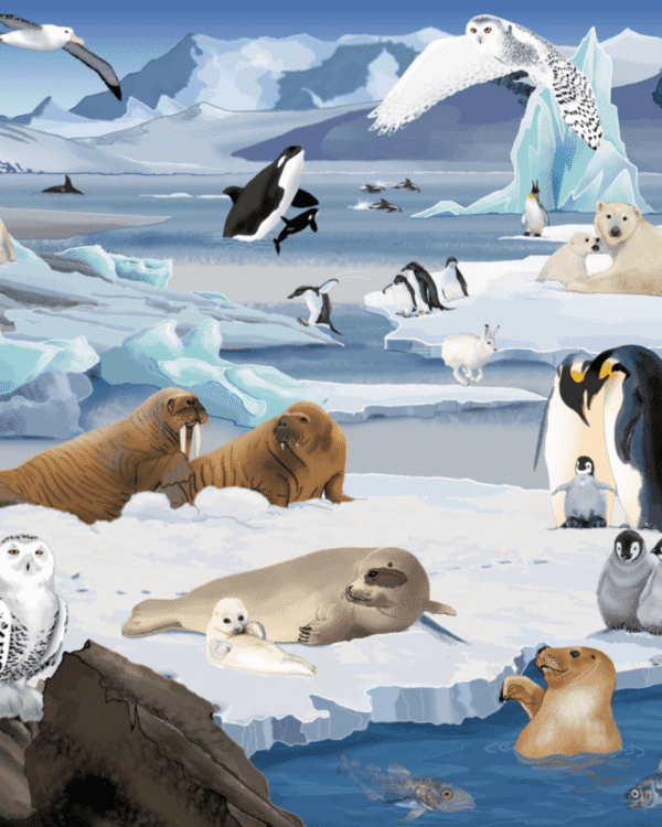 Pohyblivé puzzle Antarktida S těmito puzzle se děti více dozví o různých zvířatech žijících ve zvláštních oblastech. Puzzle jsou dodávány s bezplatnou aplikací