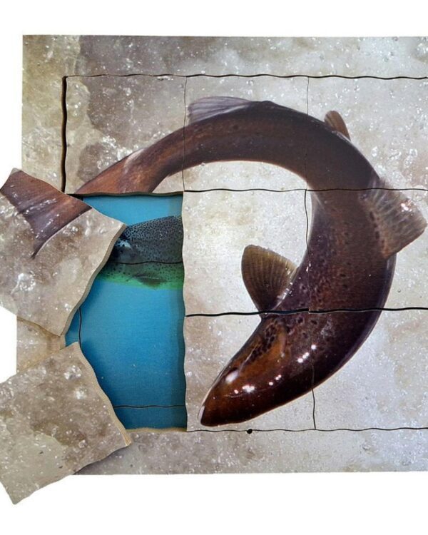 Cyklus - vývoj života lososa (puzzle 19 dílů) Losos a jeho životní cyklus je dřevěné vrstvené puzzle se 19 díly