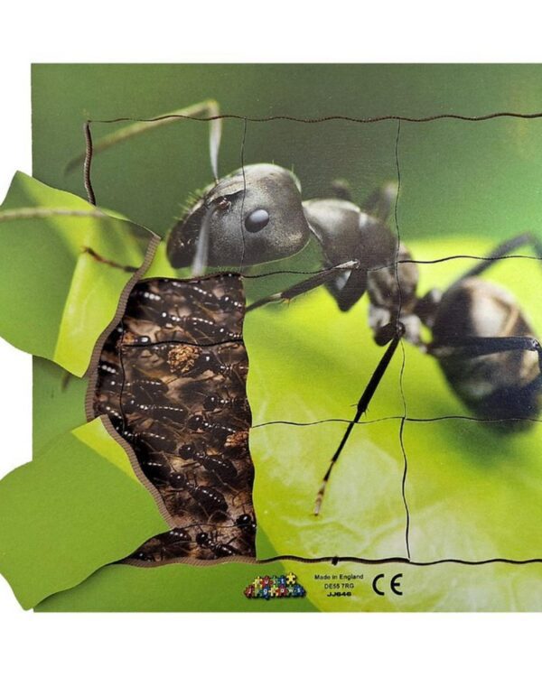 Cyklus - vývoj života mravence (puzzle 19 dílů) Mravenec a jeho životní cyklus je dřevěné vrstvené puzzle o 19 dílech