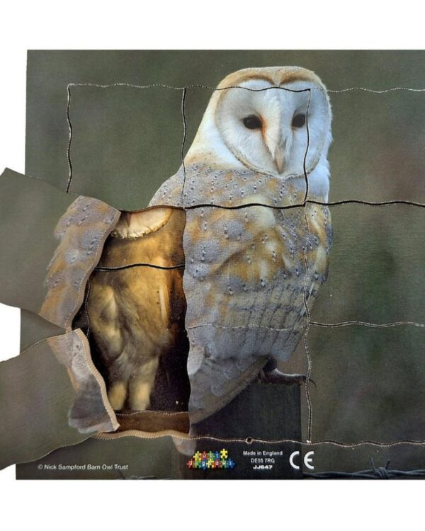 Cyklus - vývoj života sovy (puzzle 19 dílů) Sova a její životní cyklus je dřevěné vrstvené puzzle o 19 dílech