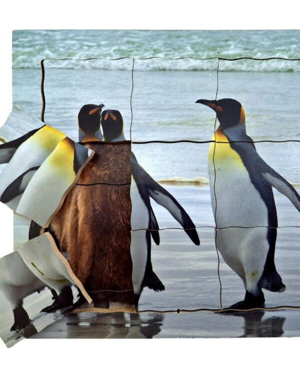 Cyklus - vývoj života tučňáka (puzzle 19 dílů) Dopřejte svým dětem netradiční pohled na svět zvířat. Edukativní dřevěné puzzle Tučňák a jeho životní cyklus není jen obyčejnou skládačkou